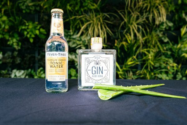 Aloe Vera by Miss Gin